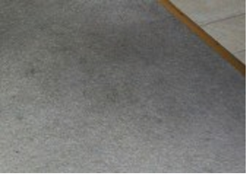 carpet cleaning Cape Coral