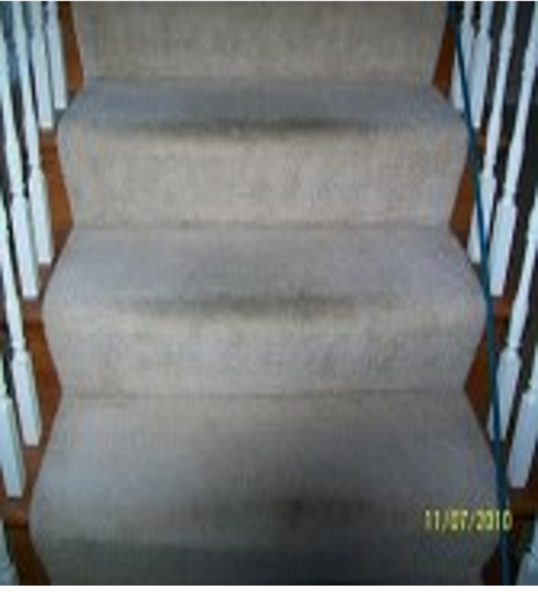 Cape Coral carpet cleaning