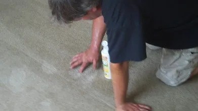Cape Coral carpet cleaners